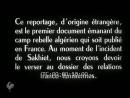 vignette